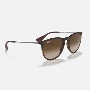 Ray-Ban Erika Classic Sunglasses